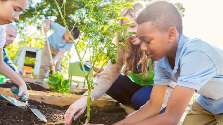 A young boy is planting on a field trip with his class